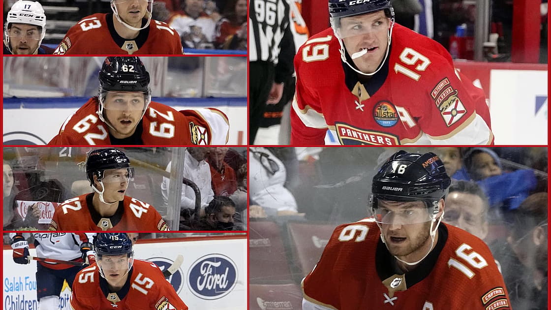 Florida panthers