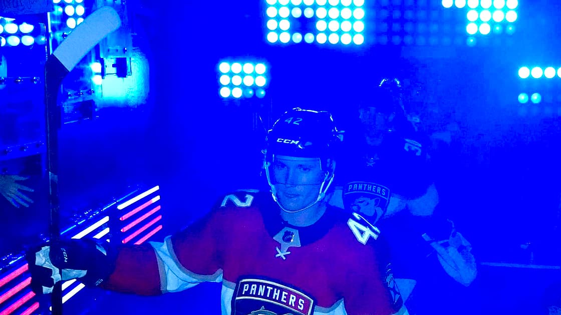 Forsling panthers