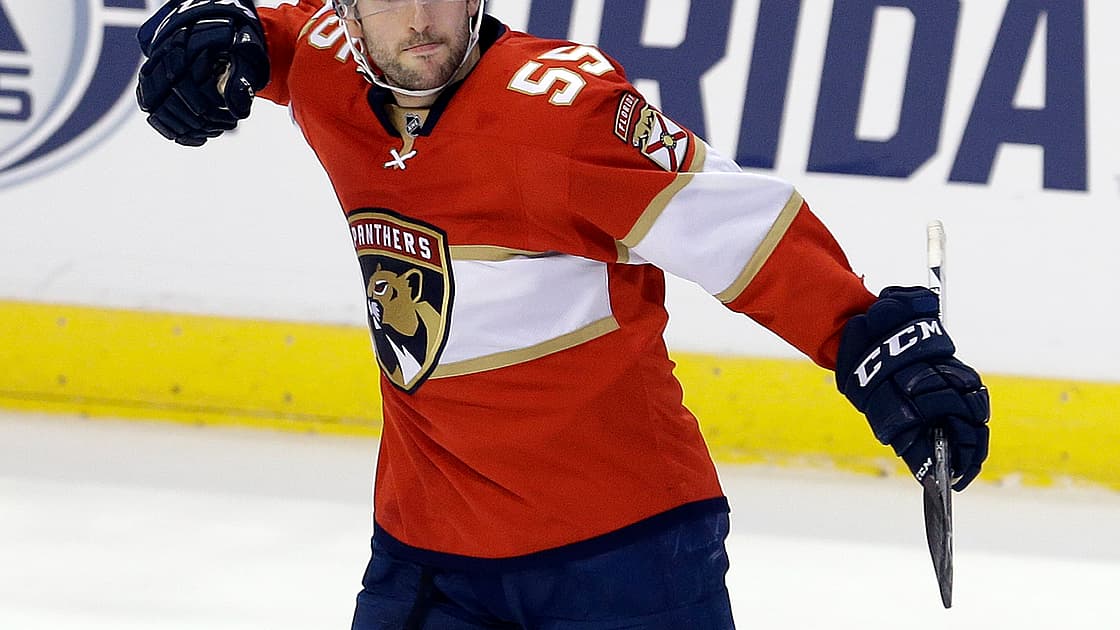 Florida panthers
