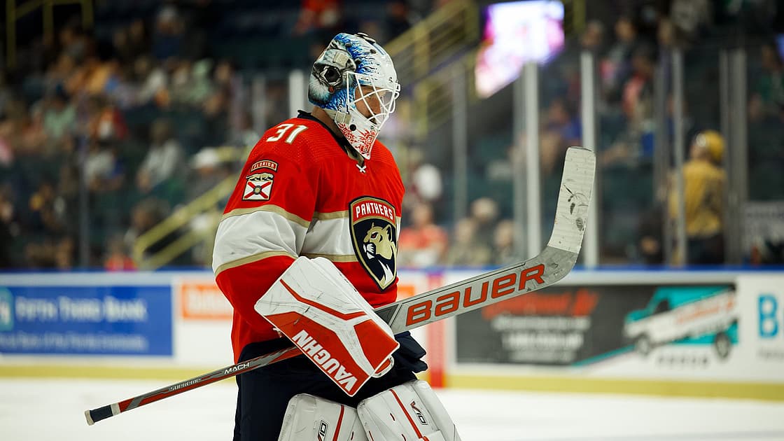 Florida panthers