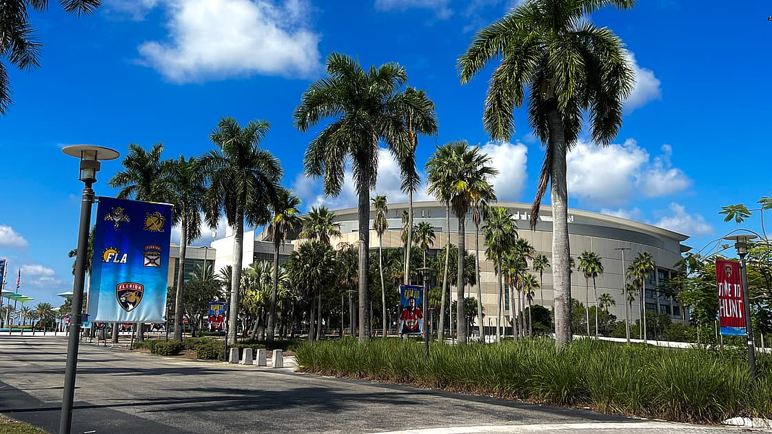 Florida panthers