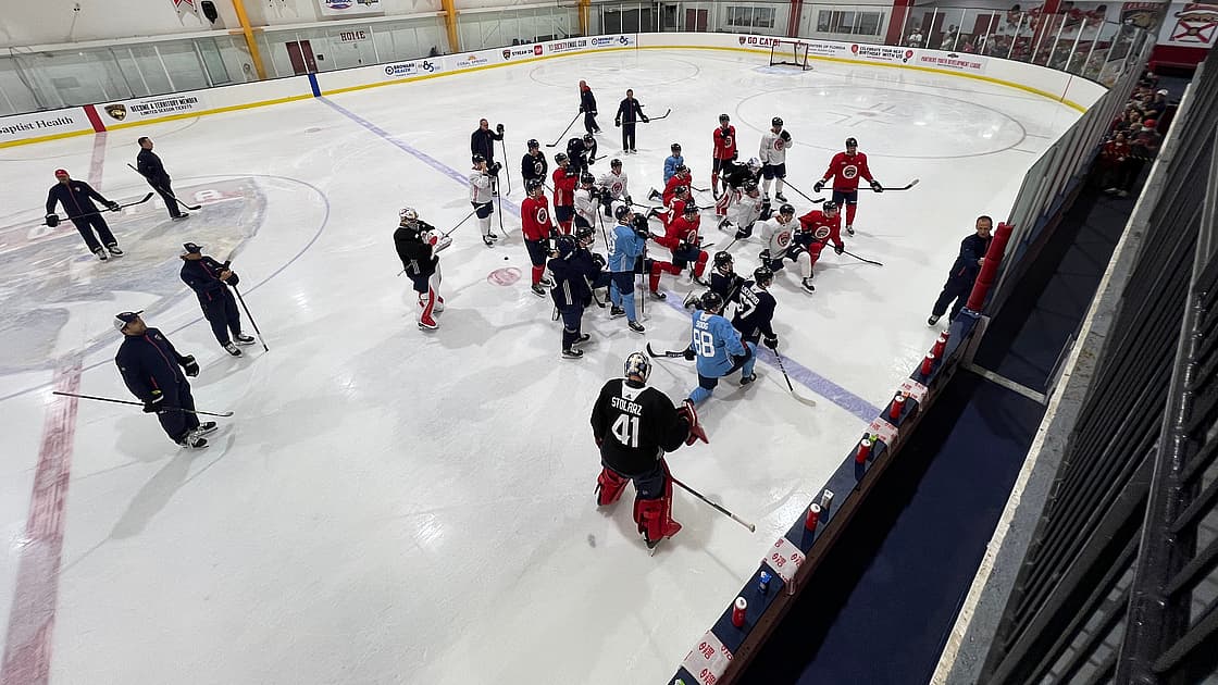 Florida panthers