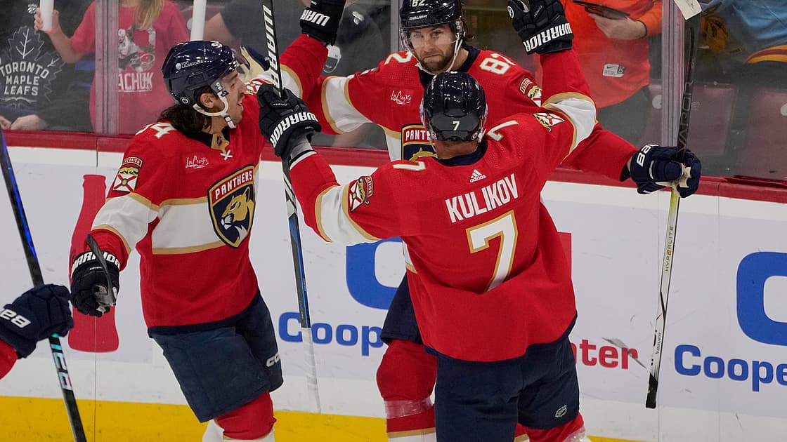 Florida panthers