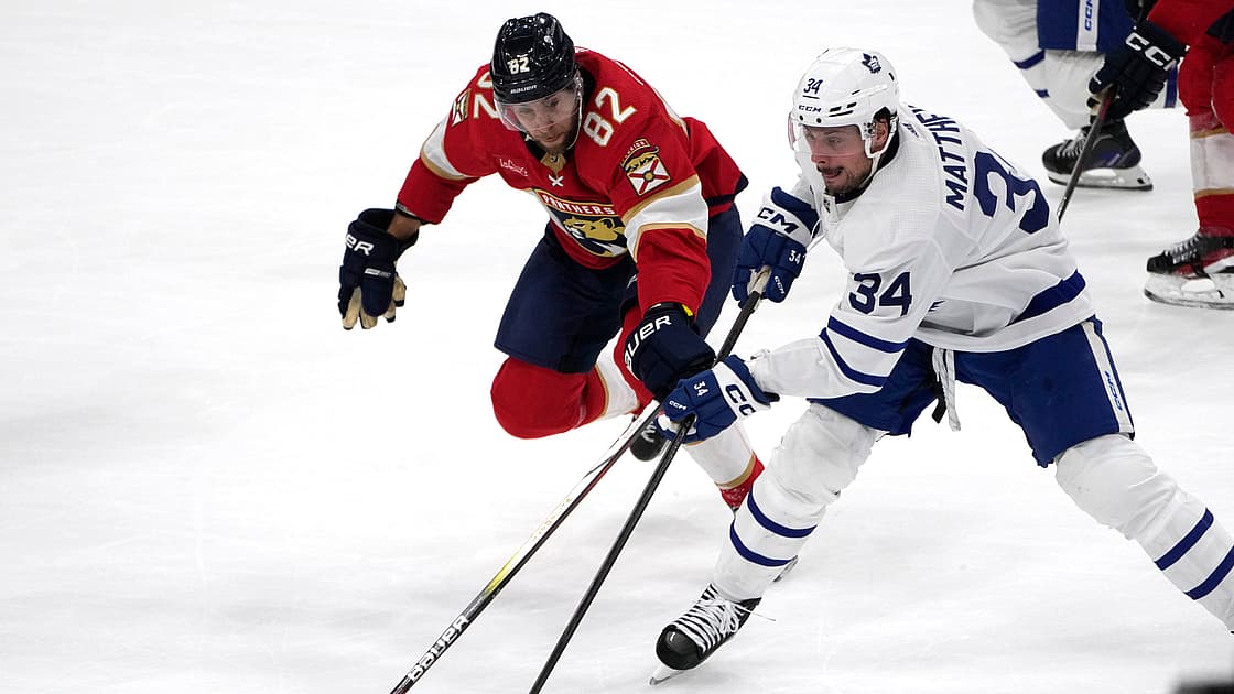 Florida panthers