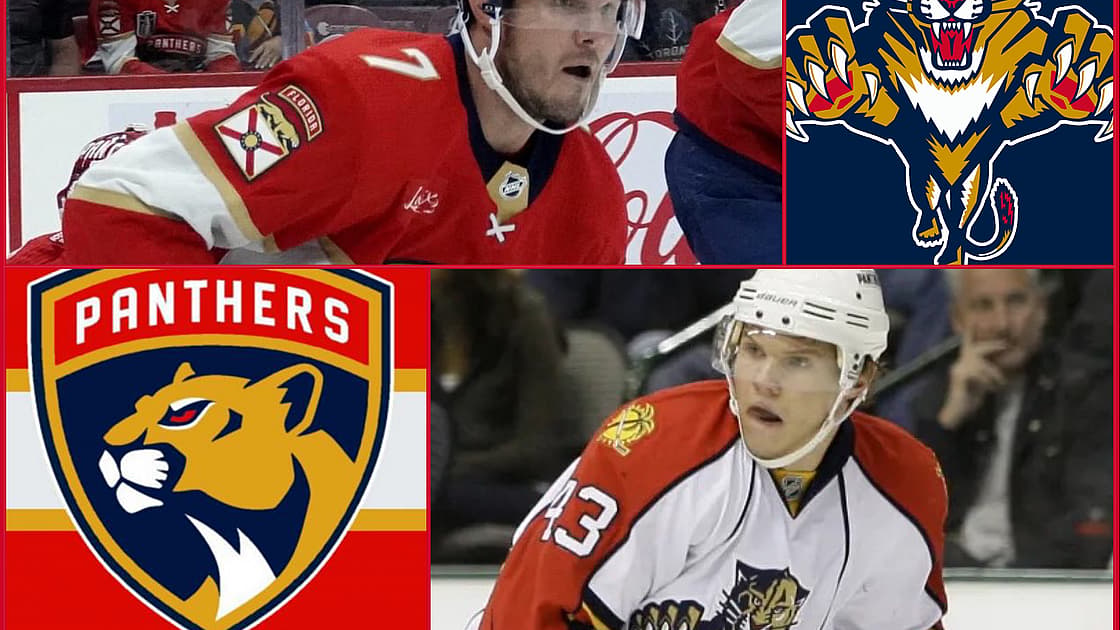Kulikov panthers