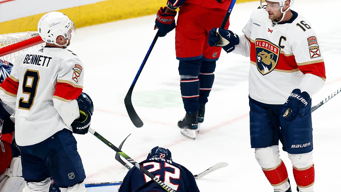 Florida panthers