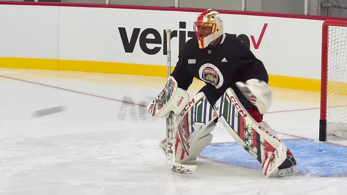 Luongo panthers