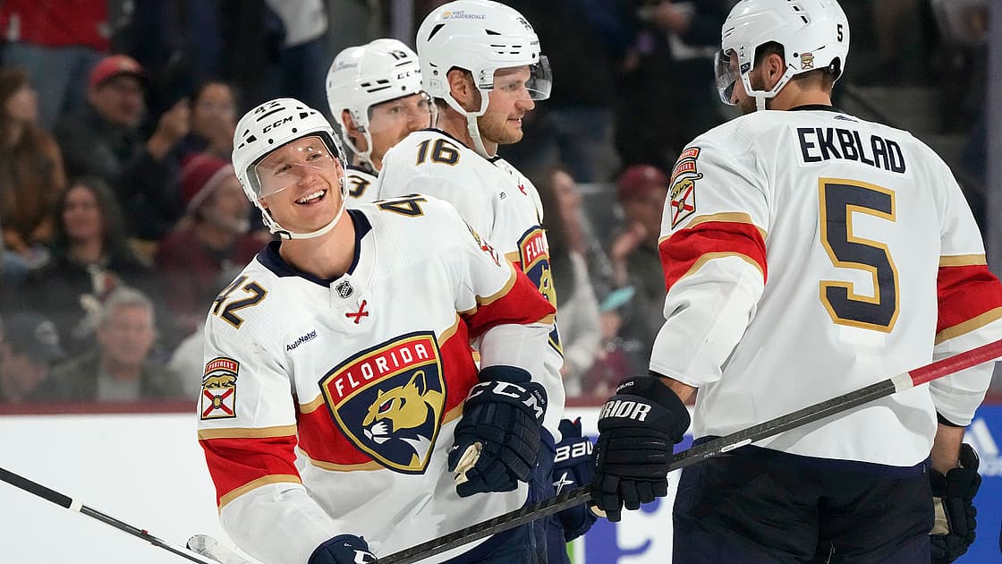 Florida panthers