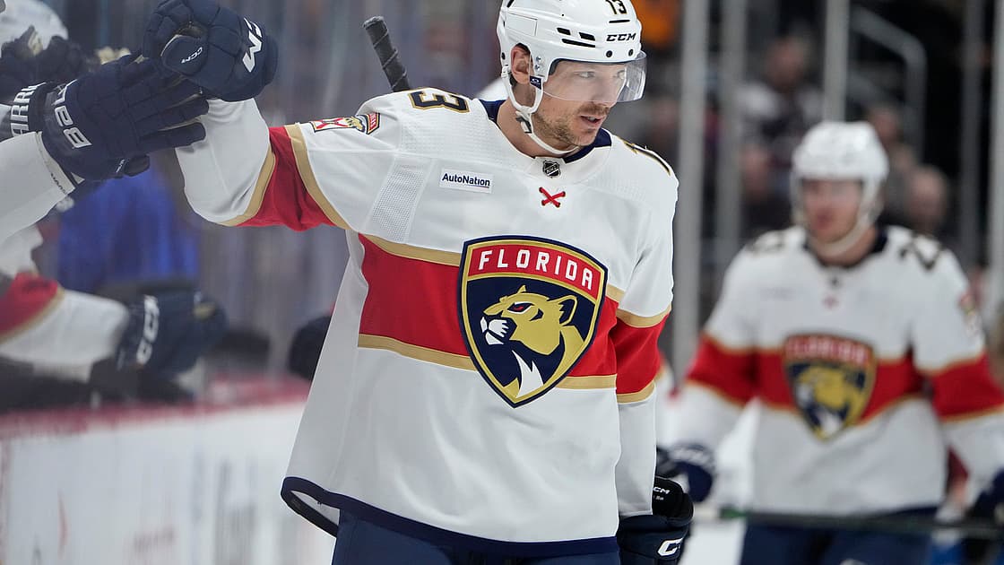 Florida panthers