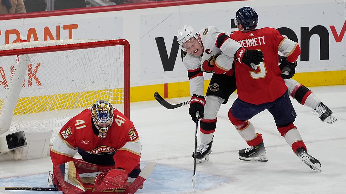 Florida panthers