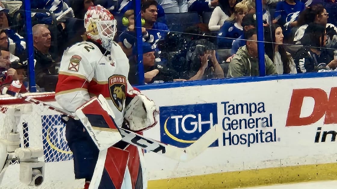 Bobrovsky