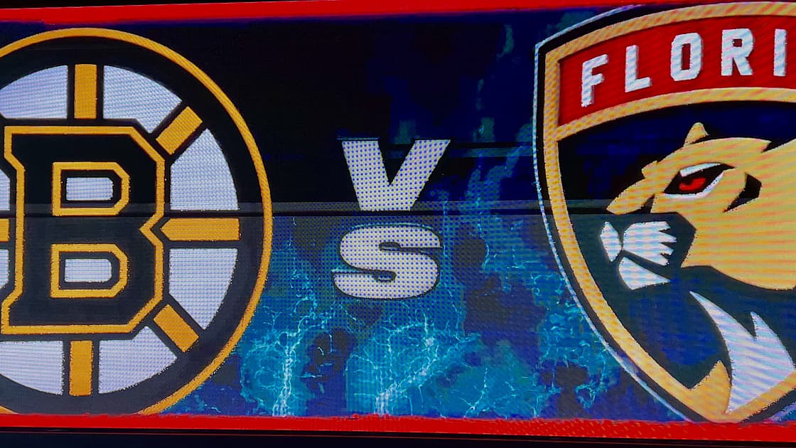 Panthers bruins