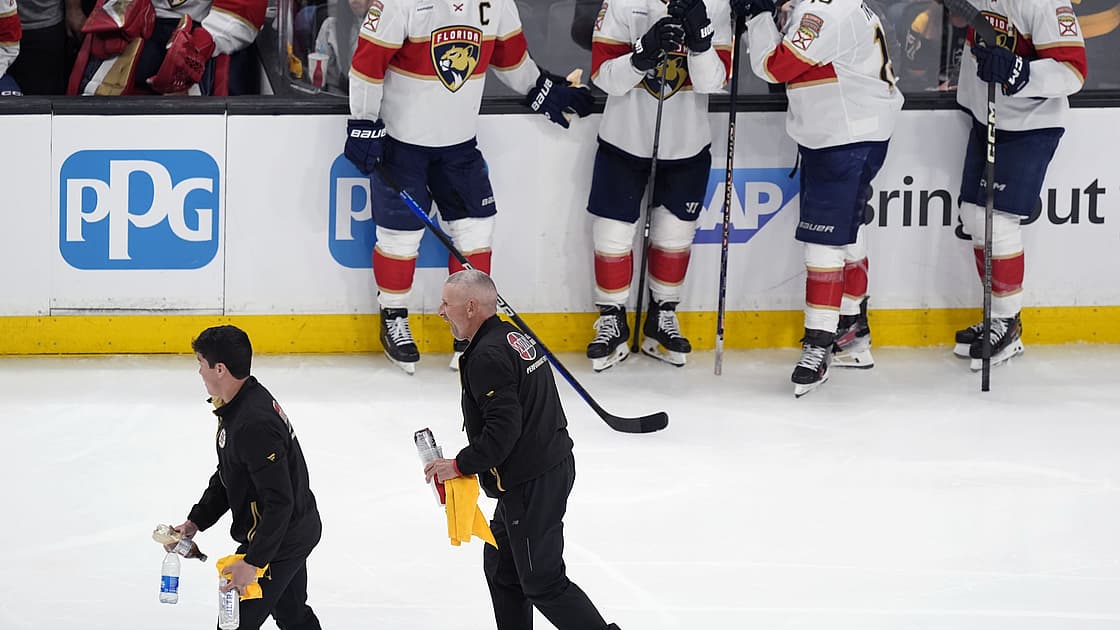 Panthers bruins