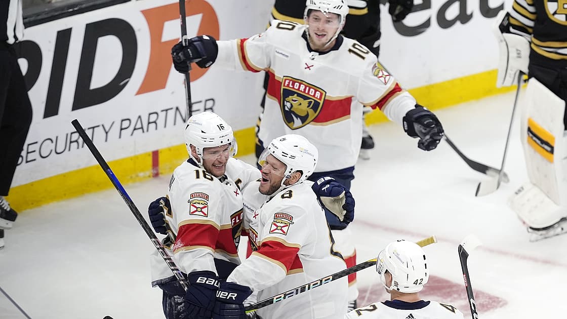 Panthers bruins