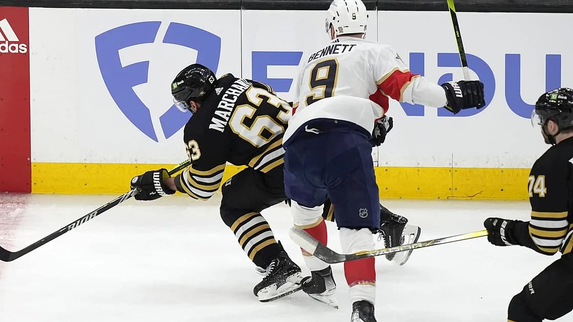 Florida panthers