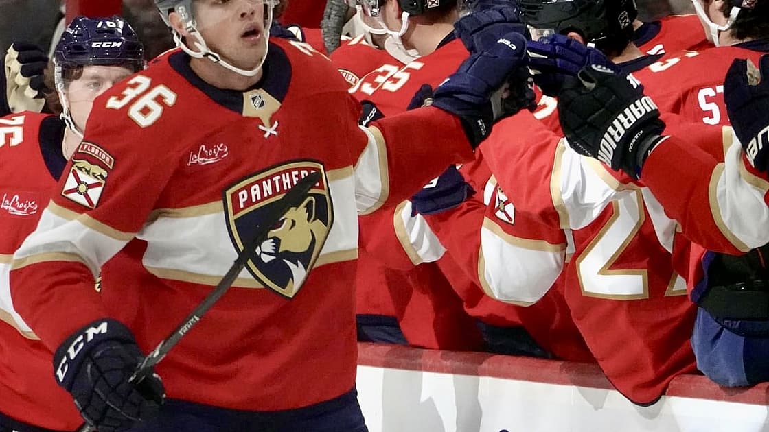 Florida panthers