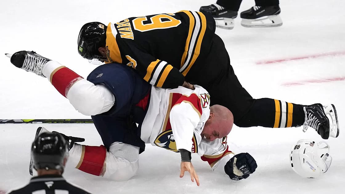 Panthers bruins