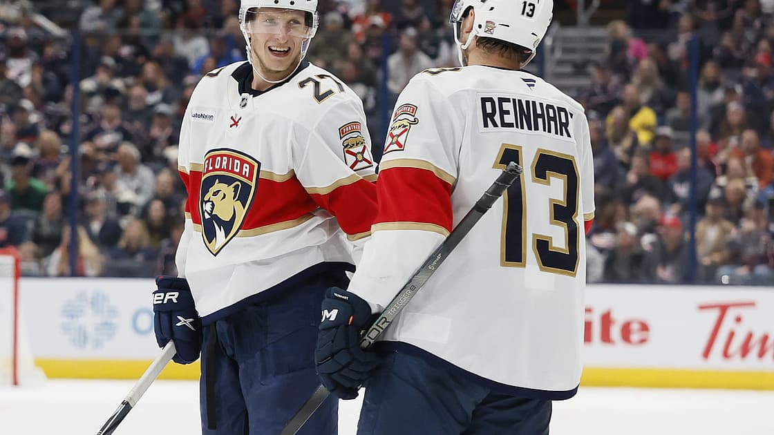 Florida panthers