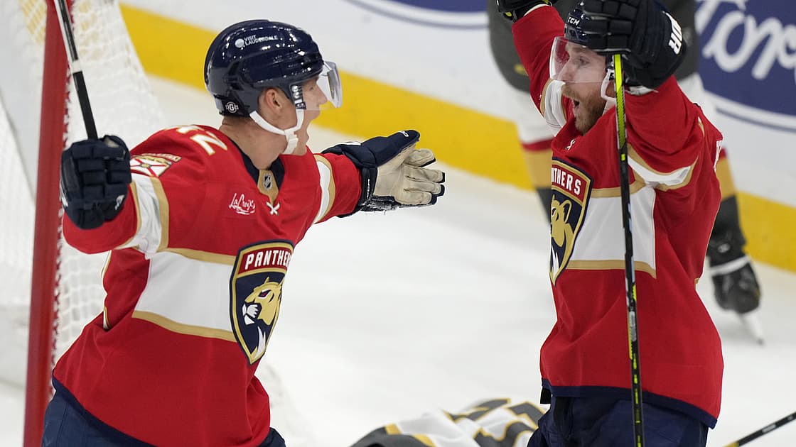 Florida panthers