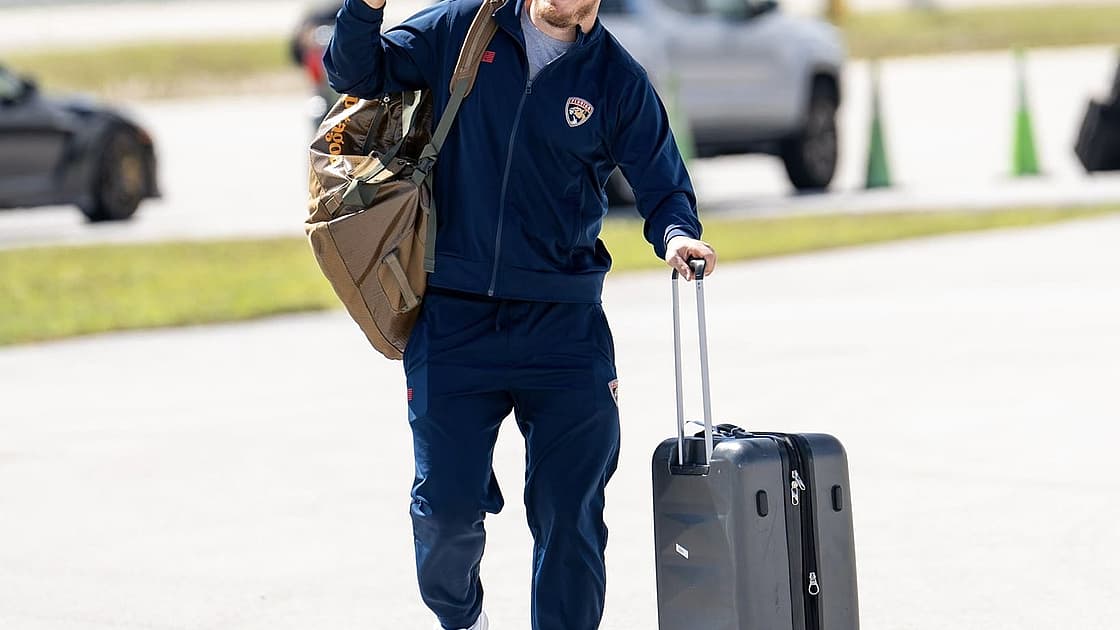 Florida panthers
