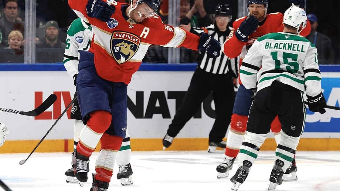 Florida panthers