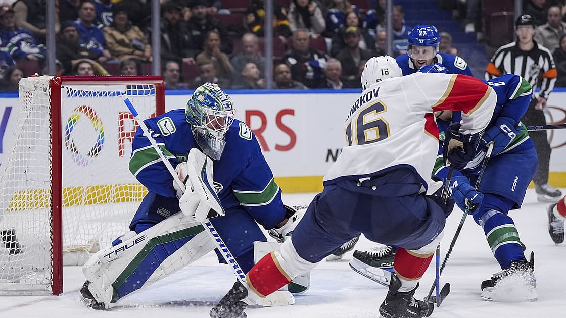 Florida panthers