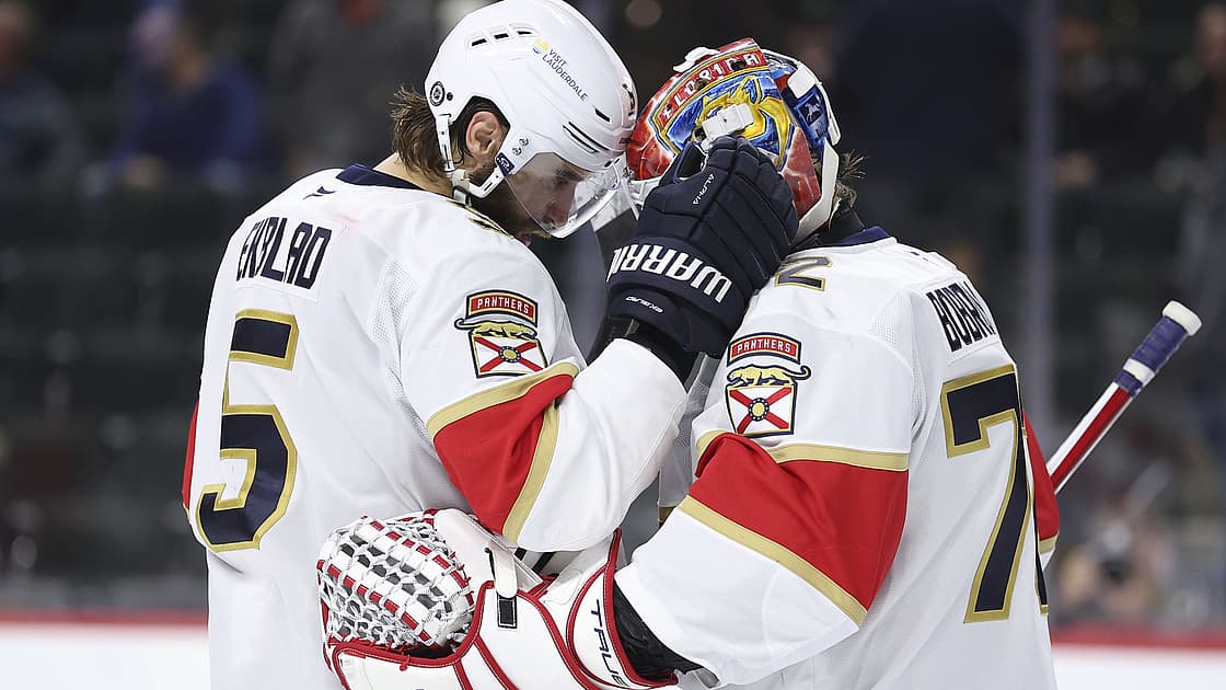 Florida panthers