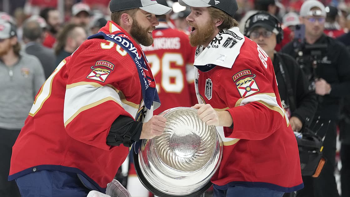Florida panthers