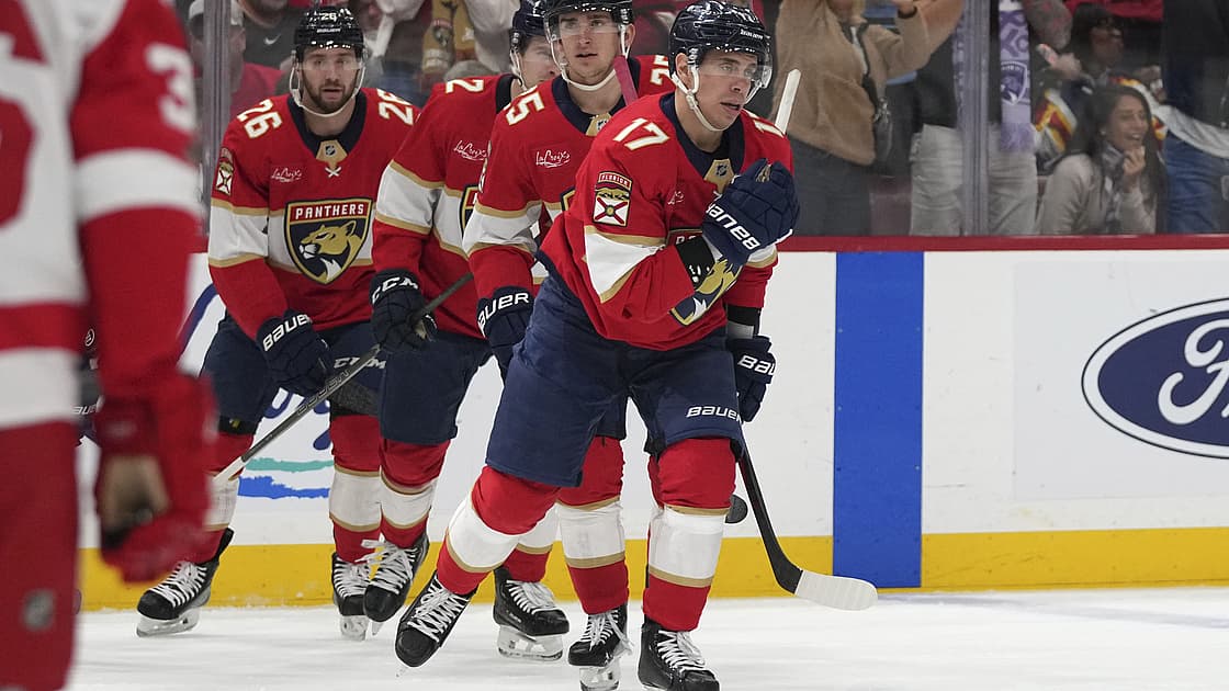 Florida panthers