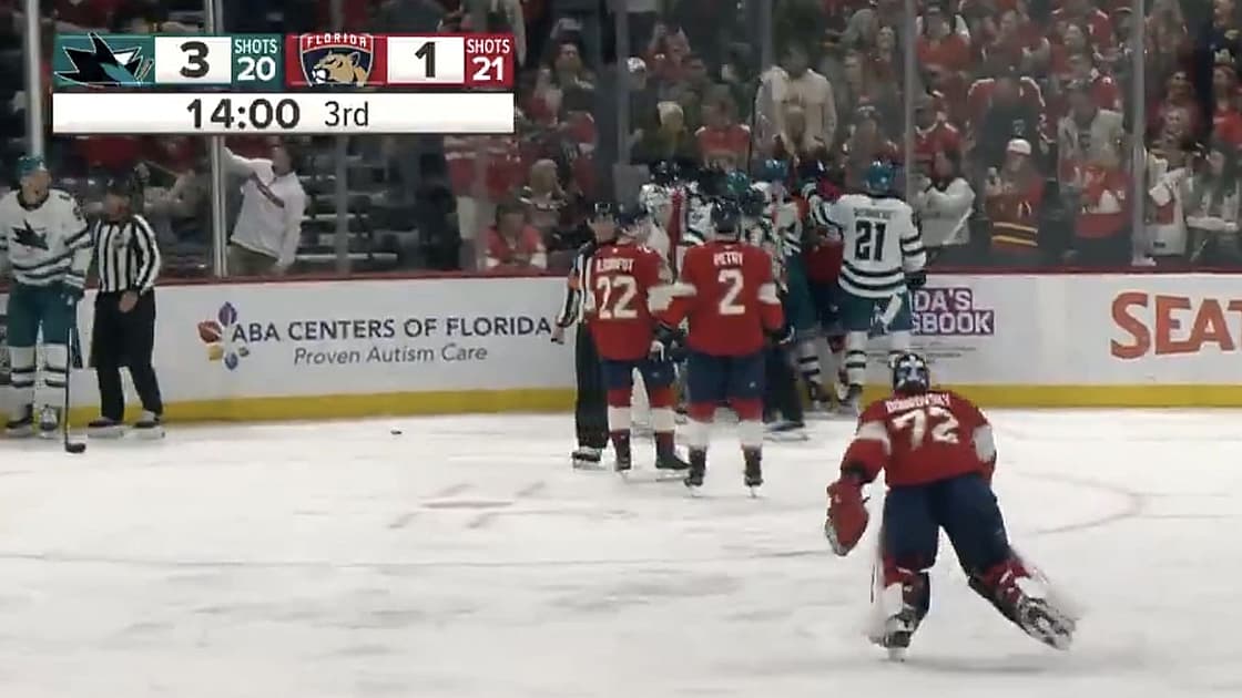 Bobrovsky goalie fight