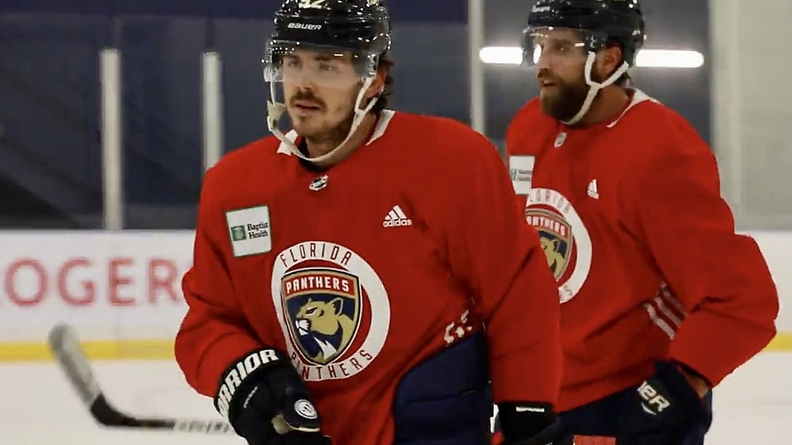 Florida Panthers defense