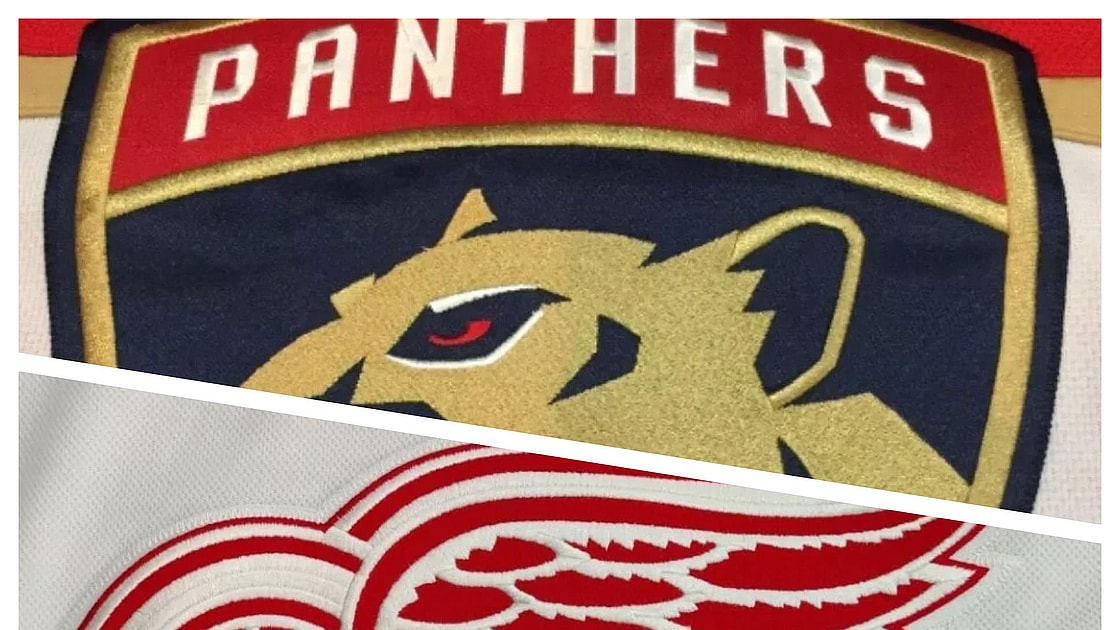 Detroit Wings Panthers Florida