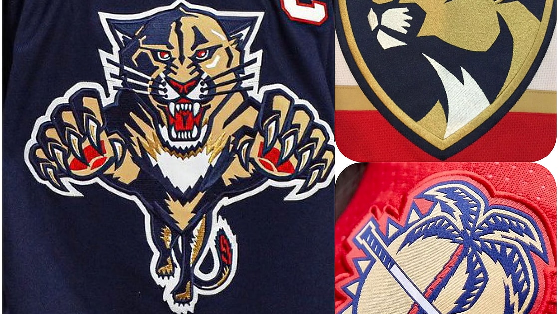 Hurricanes Panthers Carolina