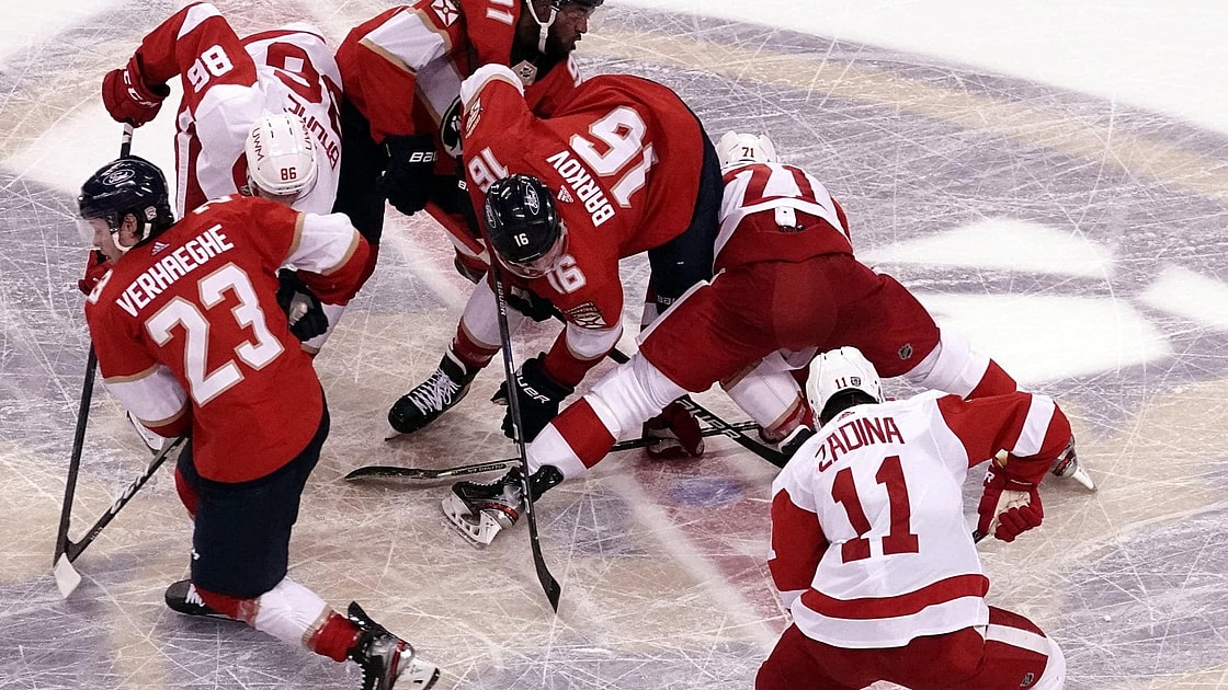 Wings Panthers Detroit Florida