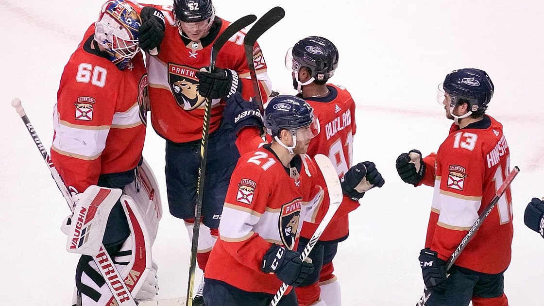 Panthers Stars Dallas Florida