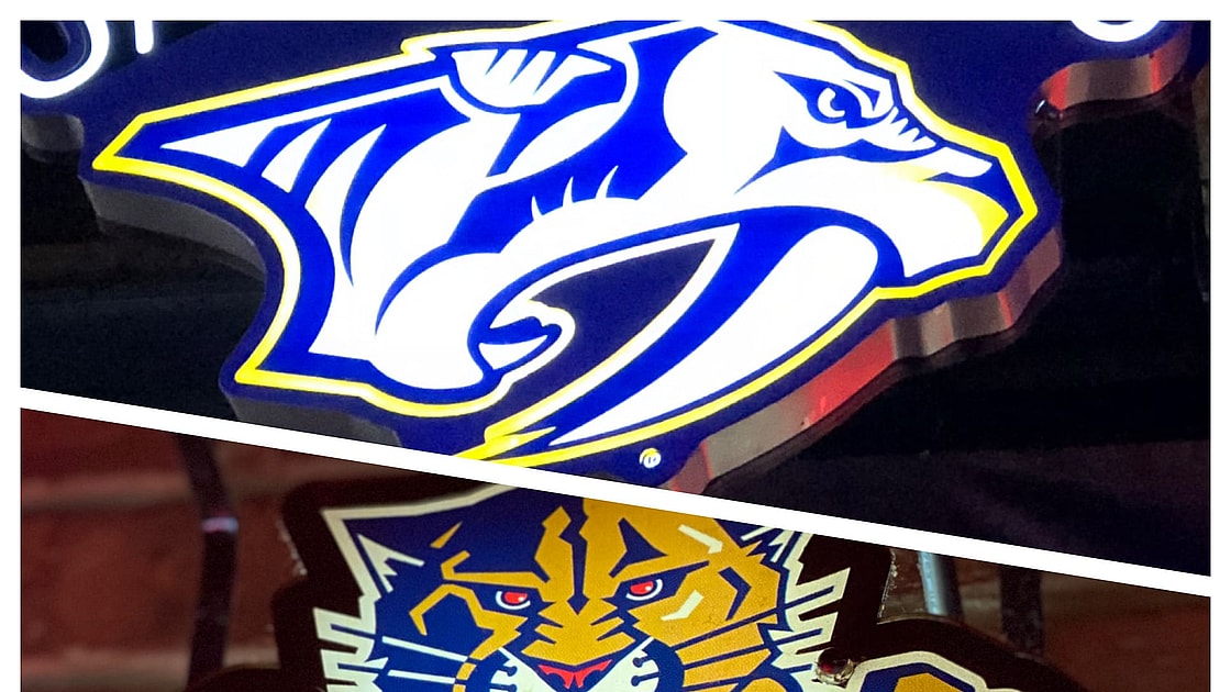Florida Predators Panthers
