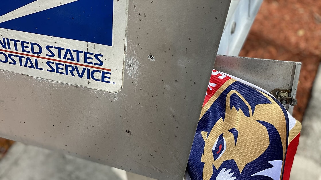 Panthers florida mailbag