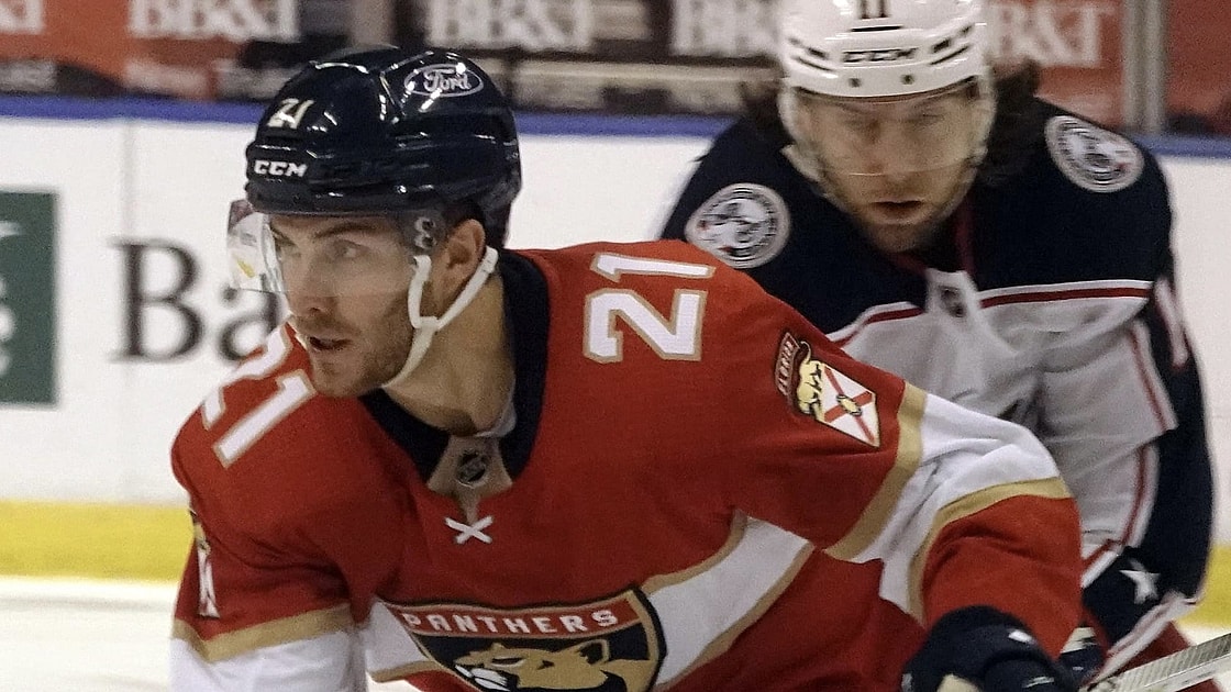 Free florida panthers agency