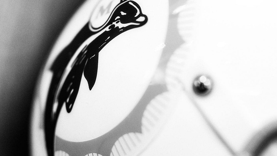 Preseason miami dolphins