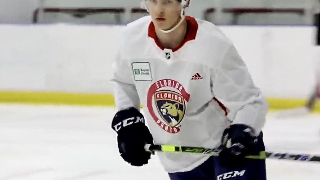 Lundell anton panthers florida