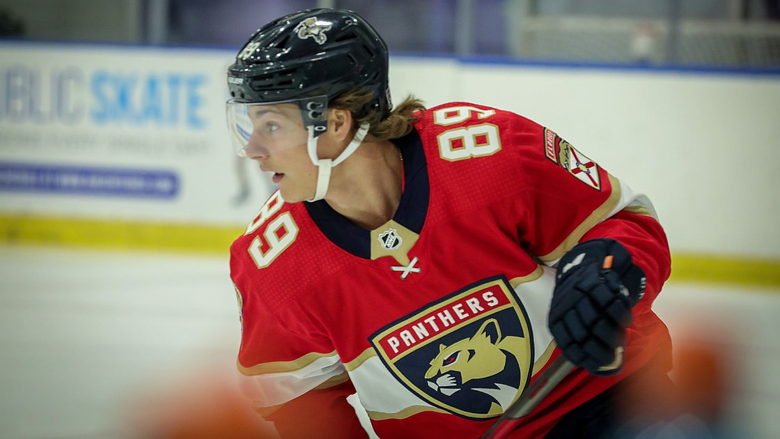 Florida panthers prospect tampa
