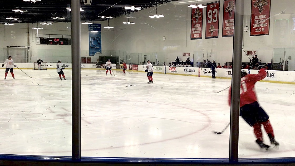 Florida panthers rookies