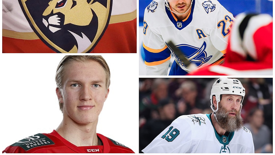 Florida panthers new