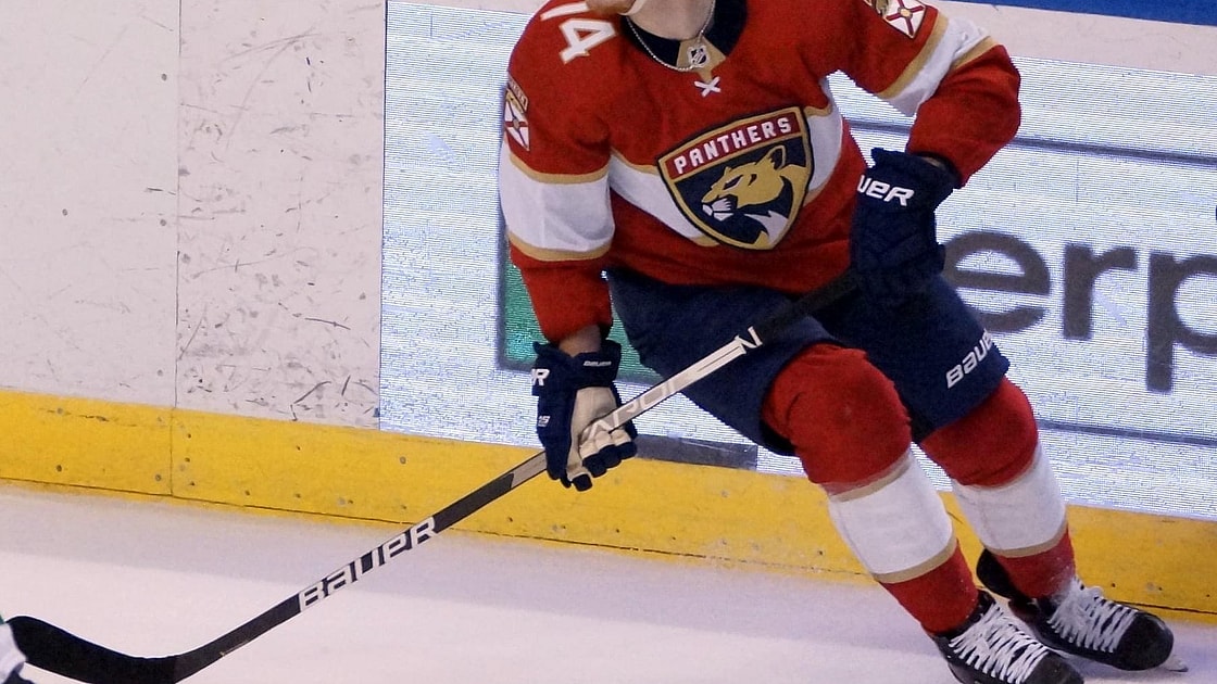 Florida owen tippett panthers