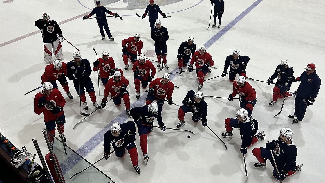 Florida roster panthers