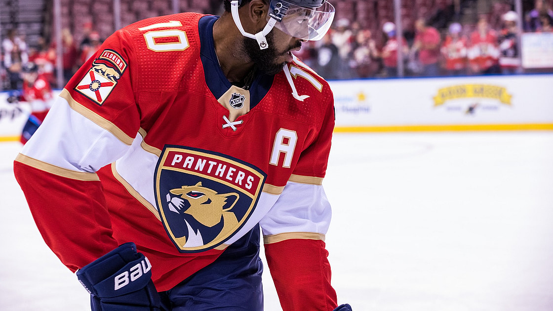 Anthony florida panthers duclair