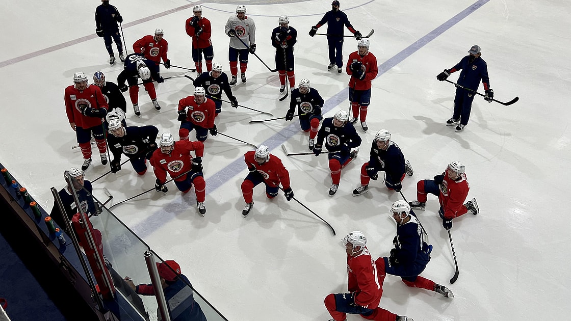 Florida panthers covid