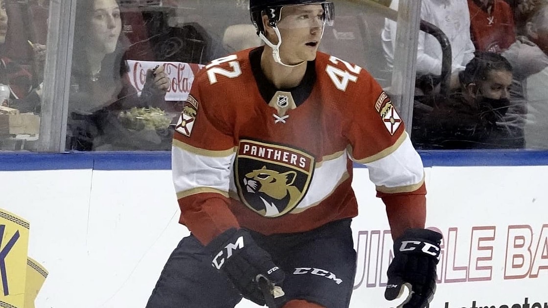 Daily fantasy hockey lineup