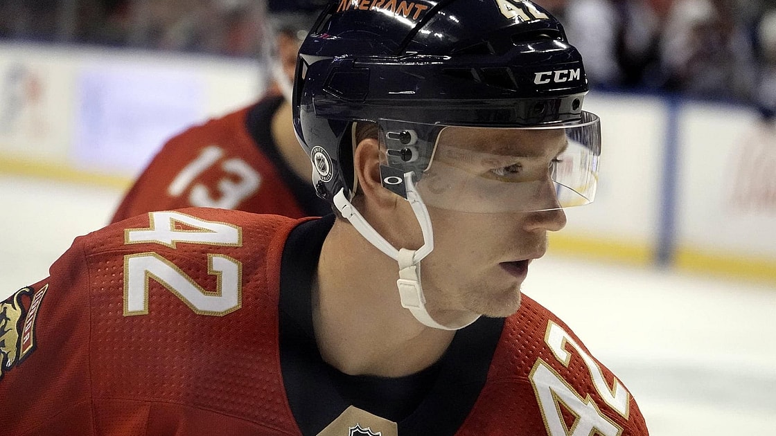 Louis florida panthers blues