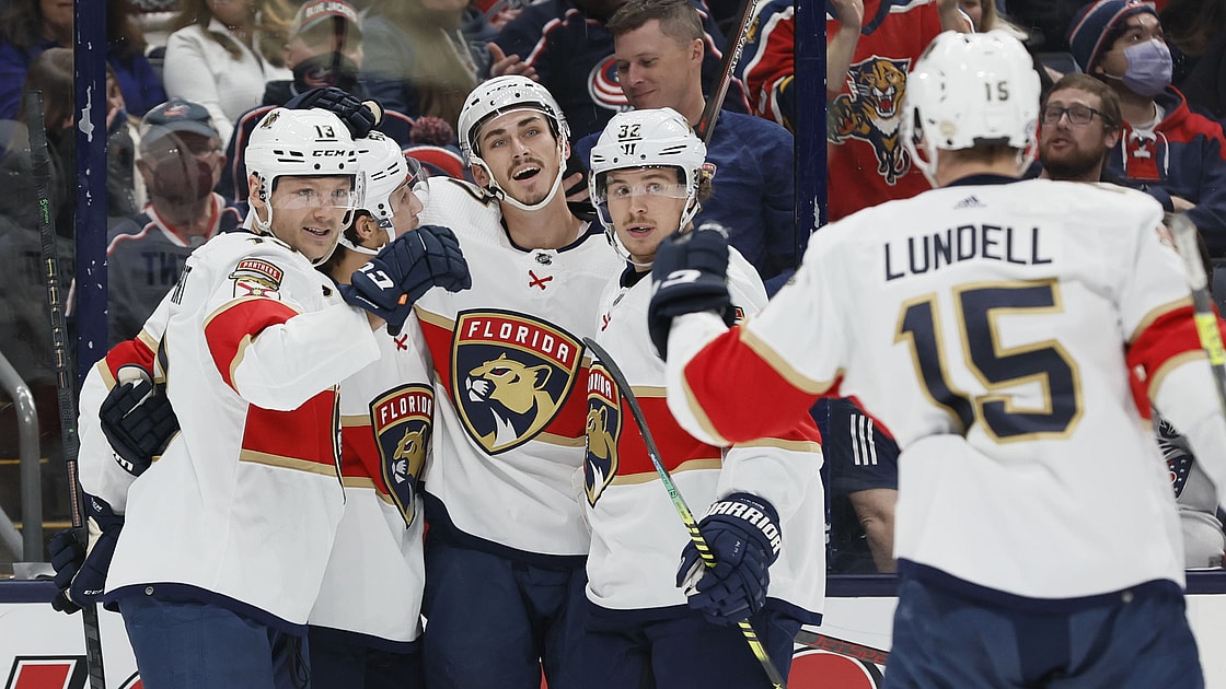 Florida panthers